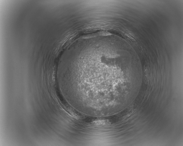 X0000052570499200507152256