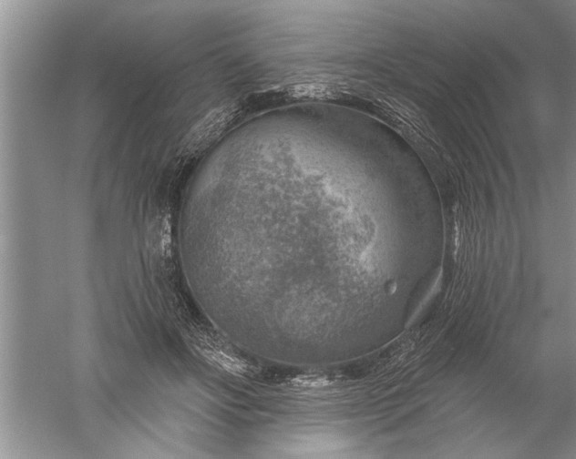 X0000052570502200507152256