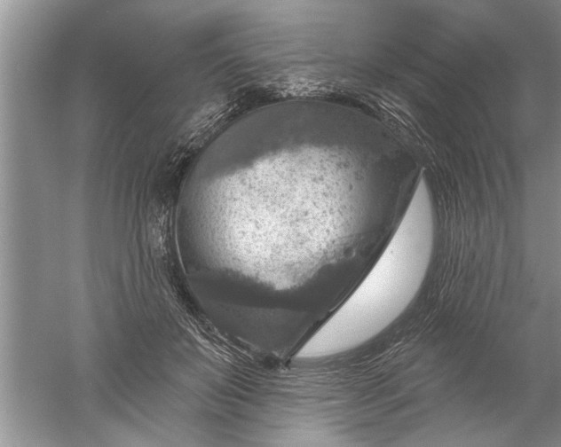 X0000052570503200507152256