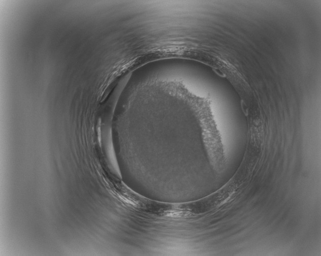 X0000052570504200507152256