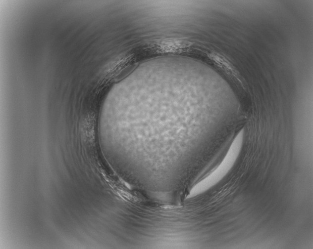 X0000052570505200507152256