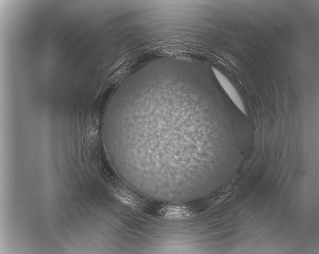 X0000052570507200507152256