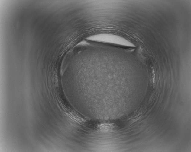 X0000052570508200507152256