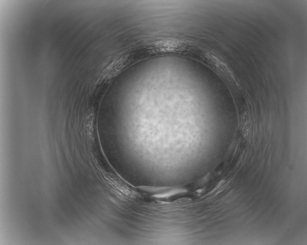 X0000052570509200507152256