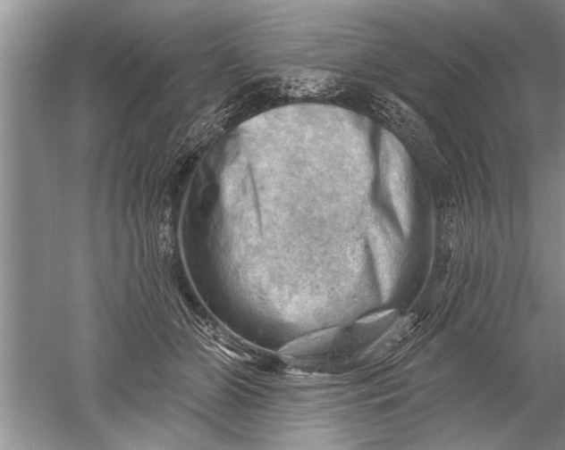 X0000052570510200507152256