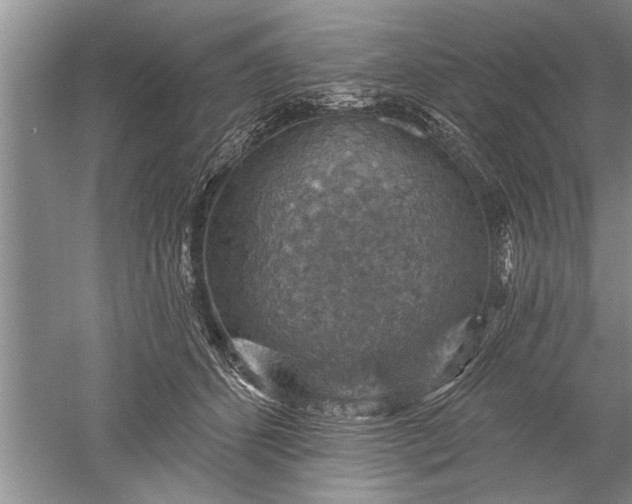 X0000052570512200507152255