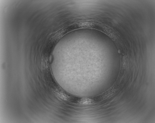 X0000052570514200507152255