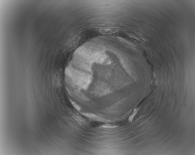 X0000052570515200507152255