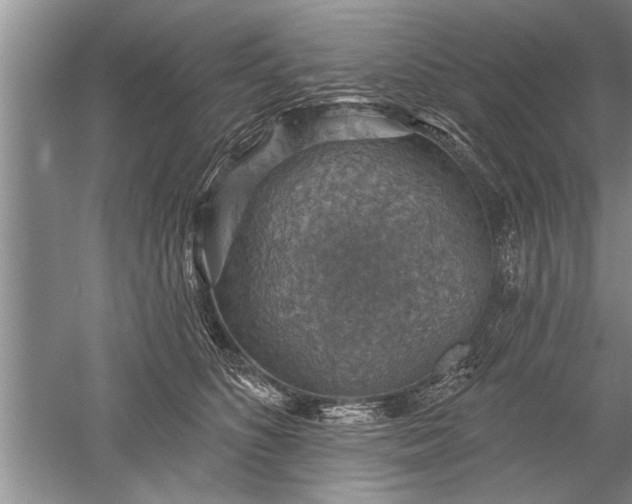 X0000052570516200507152255