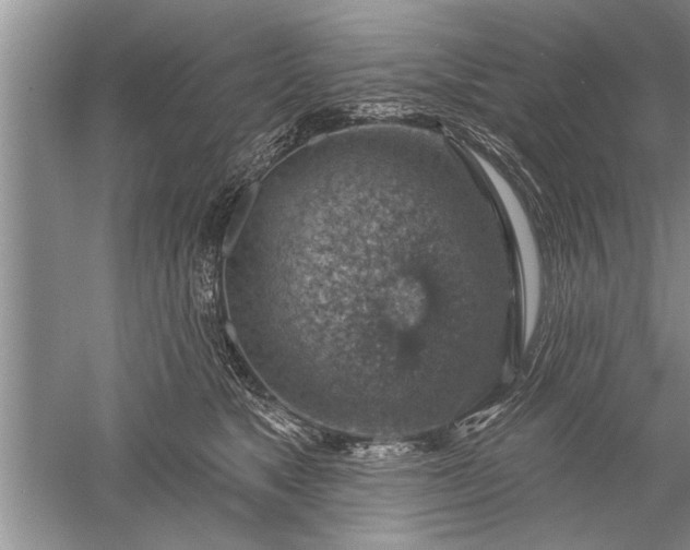 X0000052570517200507152255