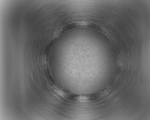 X0000052570518200507152255