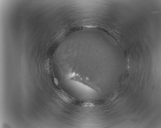 X0000052570519200507152255