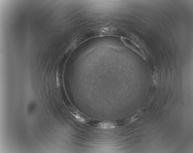 X0000052570520200507152255