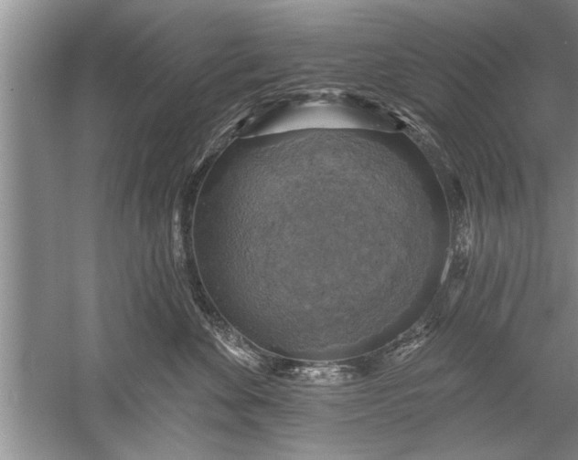 X0000052570524200507152255