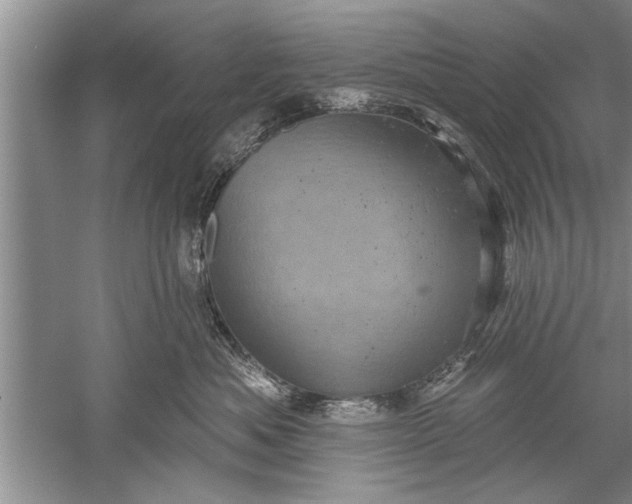 X0000052570525200507152255