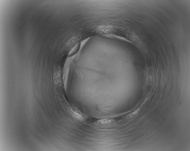 X0000052570526200507152255