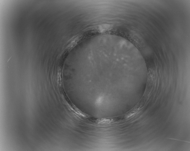 X0000052570527200507152255