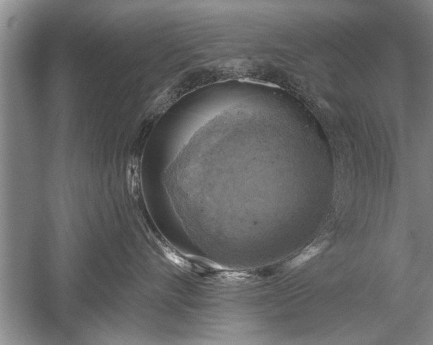 X0000052570528200507152255