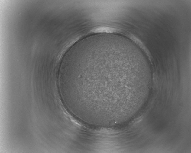 X0000052570529200507152254