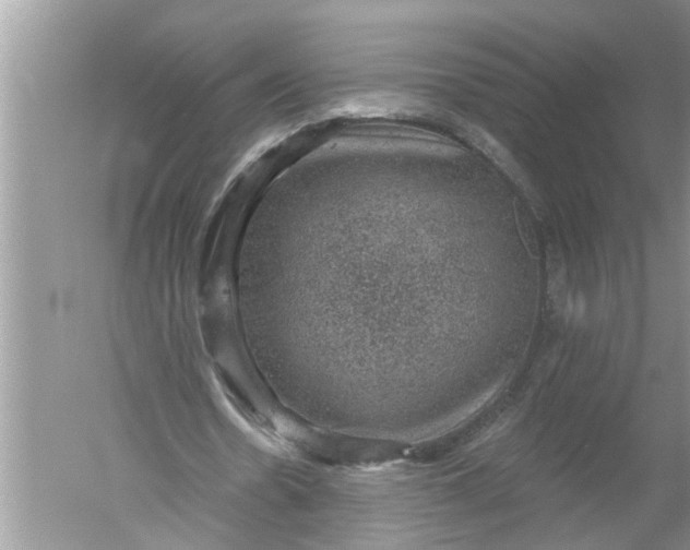 X0000052570530200507152254