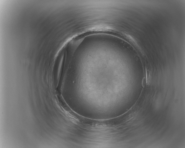 X0000052570531200507152254