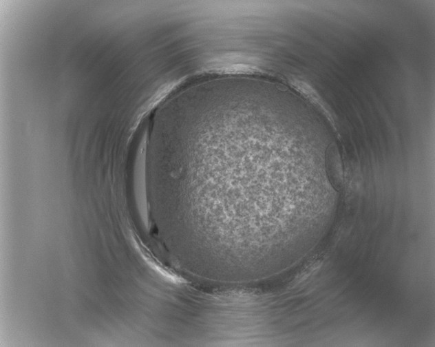 X0000052570533200507152254