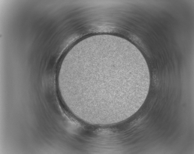 X0000052570534200507152254