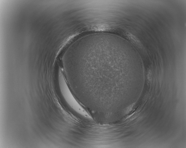 X0000052570540200507152255