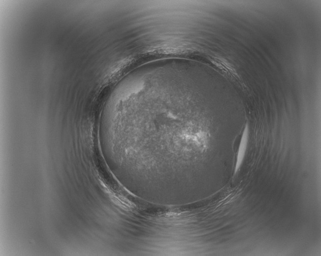 X0000052570542200507152255