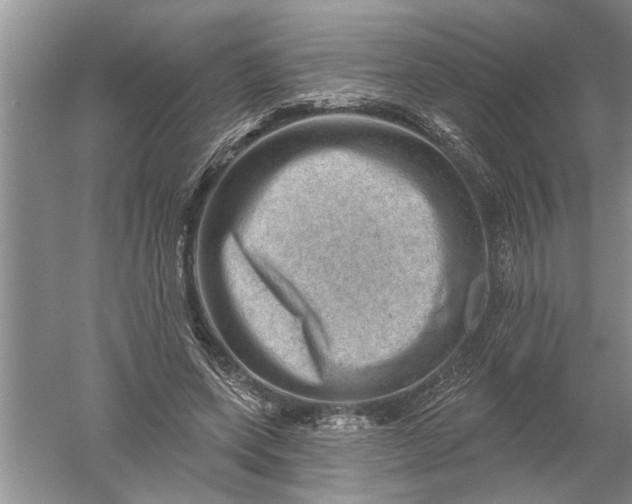 X0000052570543200507152255