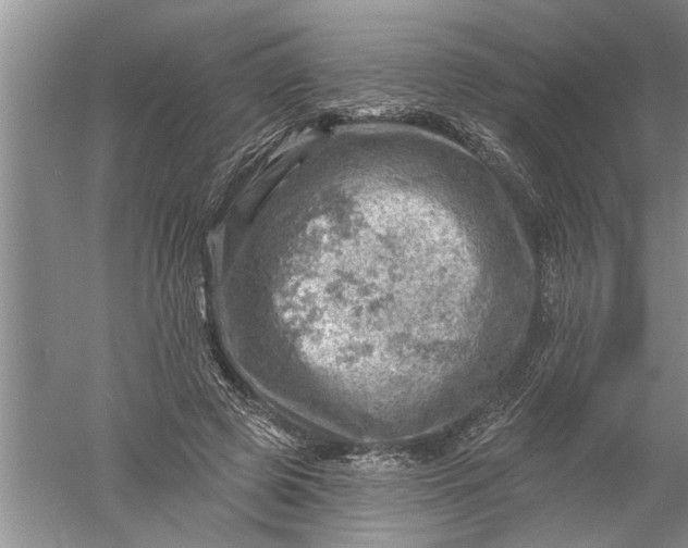 X0000052570545200507152255