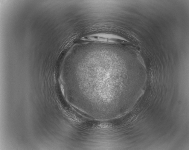 X0000052570546200507152255