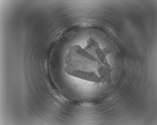 X0000052570549200507152255