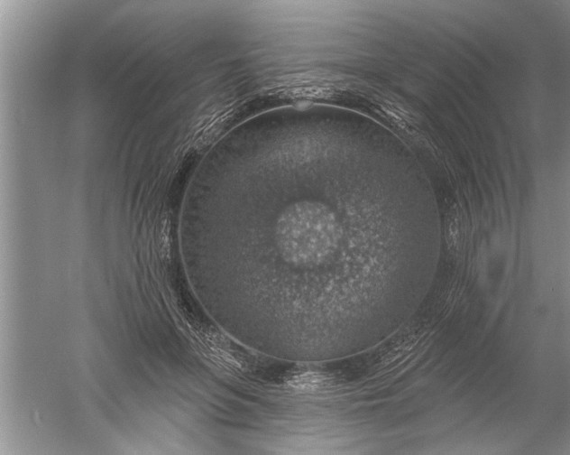 X0000052570551200507152255