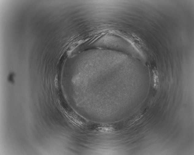 X0000052570552200507152255