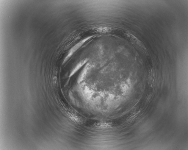 X0000052570553200507152255