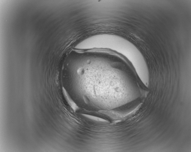 X0000052570556200507152255