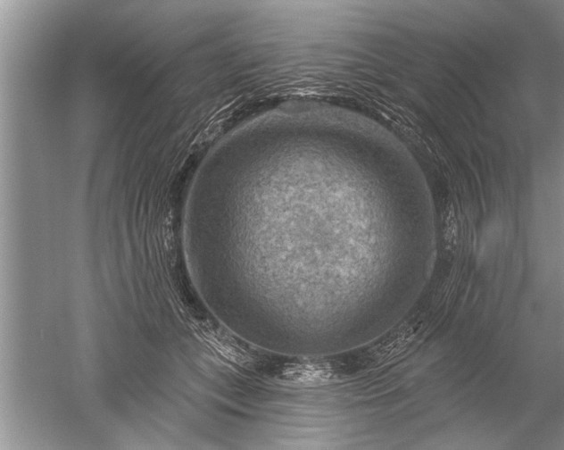 X0000052570559200507152255