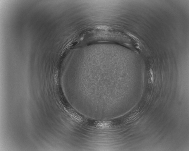 X0000052570560200507152255