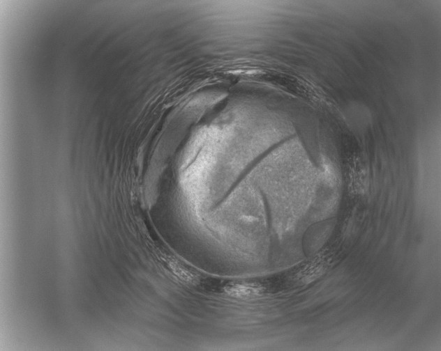 X0000052570561200507152255