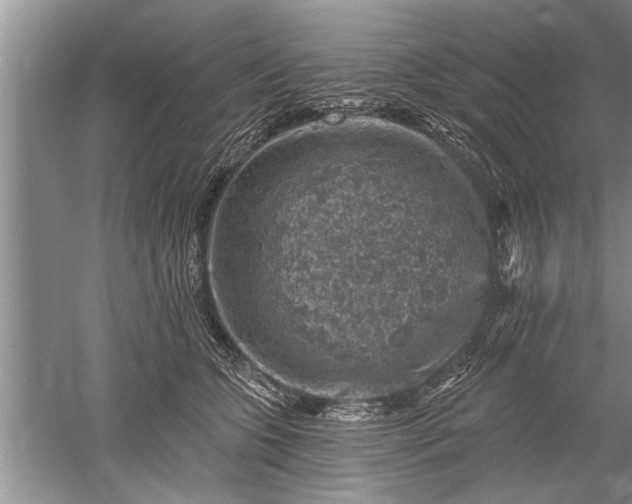 X0000052570563200507152255