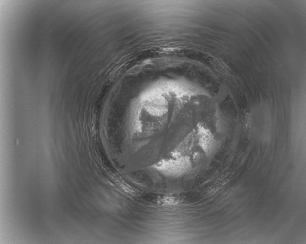 X0000052570565200507152255