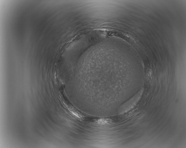 X0000052570566200507152255