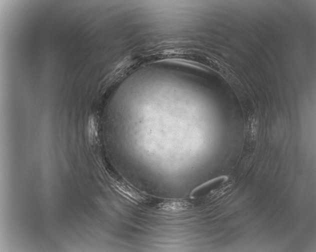 X0000052570567200507152255