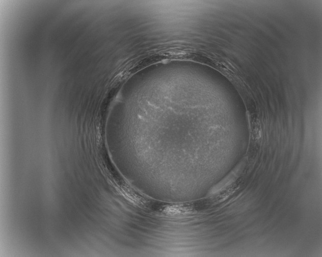 X0000052570568200507152255