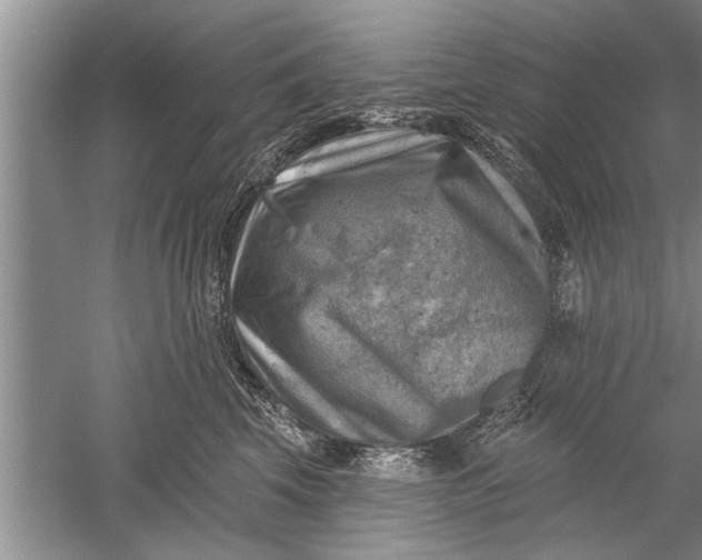 X0000052570569200507152255