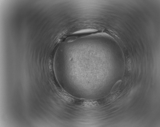 X0000052570571200507152255