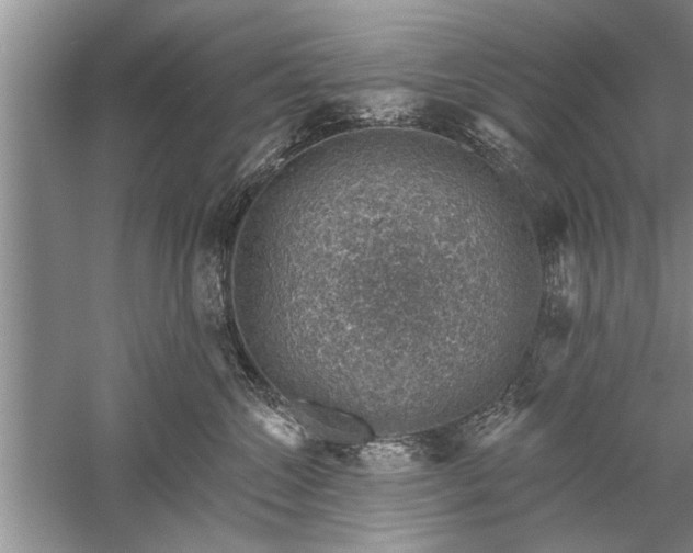 X0000052570572200507152255