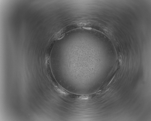 X0000052570574200507152255