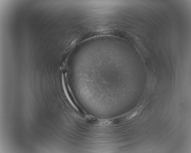 X0000052570576200507152255